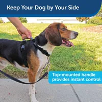 PetSafe - Dog Harness