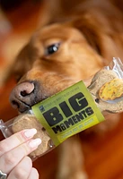 Wet Noses - Dog Treats - Moments Chicken Pot Pie Large Bones