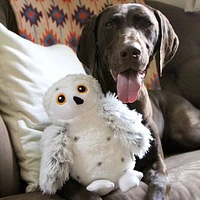 Tall Tails - Plush Dog Toy - Animated Snow Owl