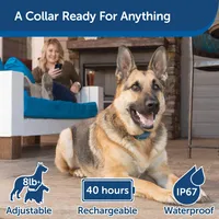 PetSafe - Dog Collar - Smart Dog Trainer