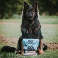 Tucker's - Freeze Dried Dog Food - Pork,  Beef,  & Pumpkin