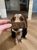 Dog Treat - Duck & Black Bean Jerky