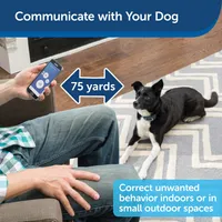 PetSafe - Dog Collar - Smart Dog Trainer