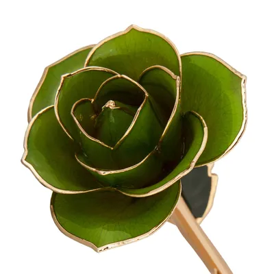  24K Gold Dipped Mossy Green Rose