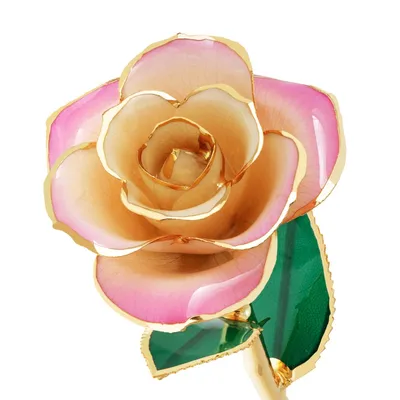 24K Gold Dipped Blushed Pink Rose