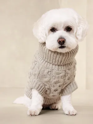 Oliver Cable-Knit Dog Sweater
