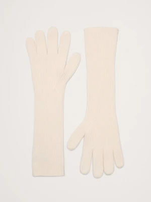 Signature Cashmere Long Gloves