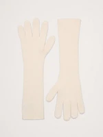 Signature Cashmere Long Gloves