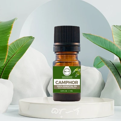 Camphor Essential Oil 11ml I Bathala Scents