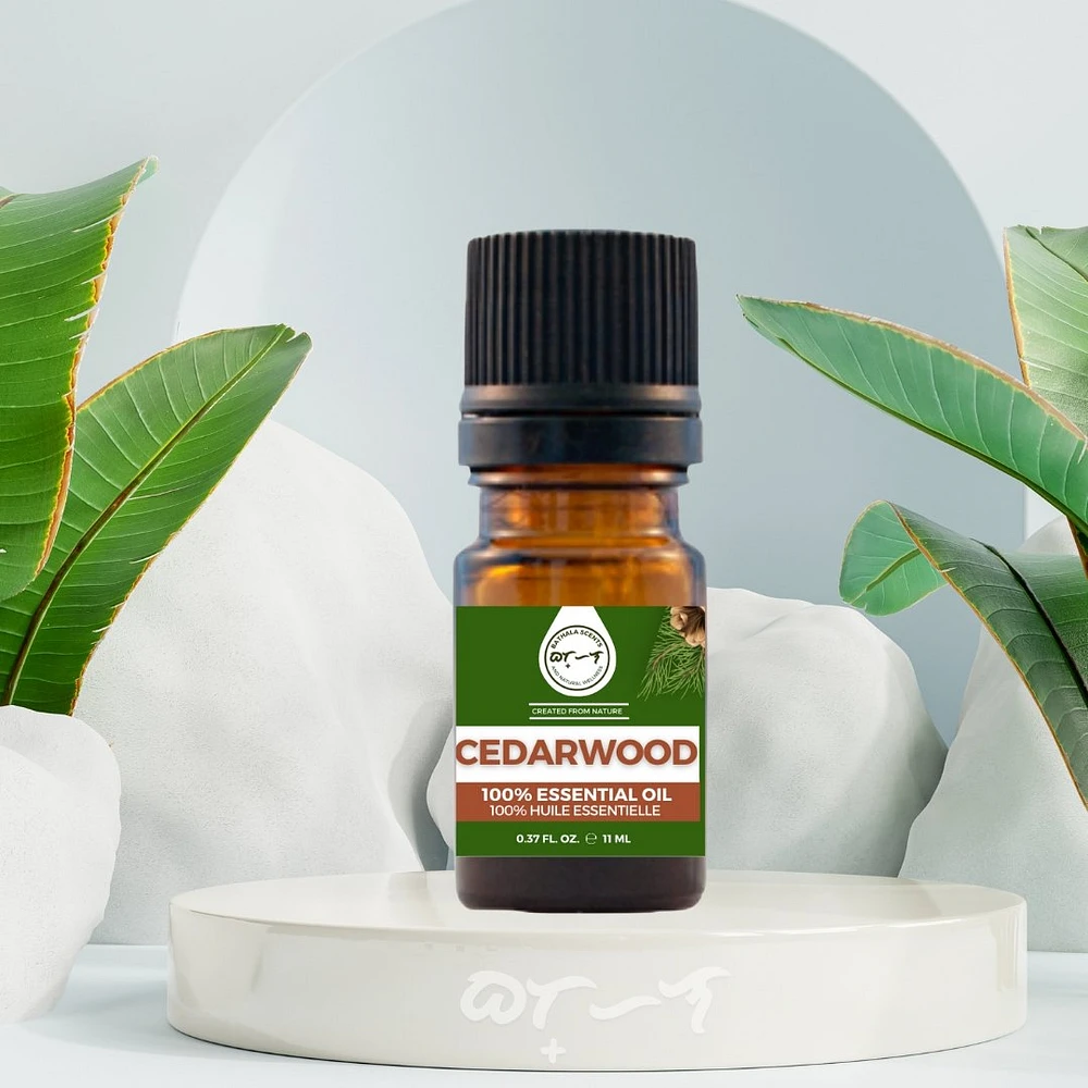 Cedarwood Essential Oil 11ml I Bathala Scents