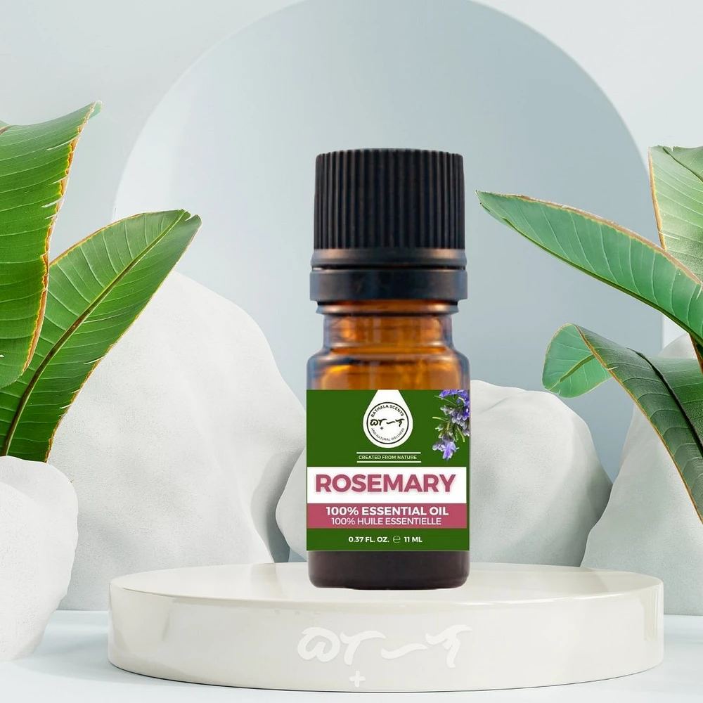 Rosemary Essential Oil 11ml I Bathala Scents