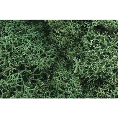 Woodland Scenics Lichen - Light Green WOO162