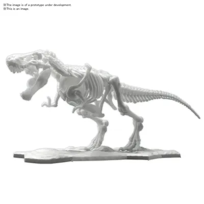Tyrannosaurus Skeleton Model Kit #5061659 by Bandai