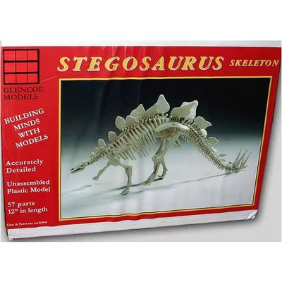 1/24 Stegosaurus Skeleton model kit