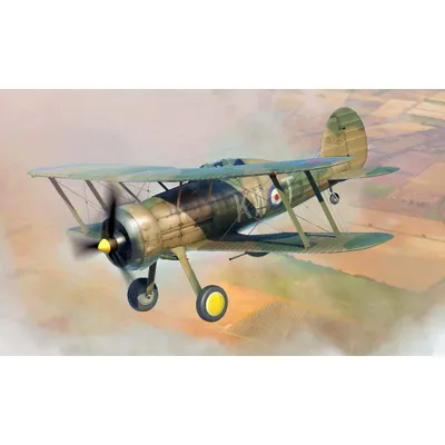 Gloster Gladiator MK2 1/48 by I Love Kit