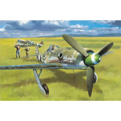 Focke-Wulf FW190D-13 1/48 #81721 by Hobby Boss