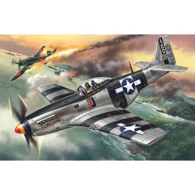 Mustang P-51K, WWII American Fighter 1/48 #48154 by ICM