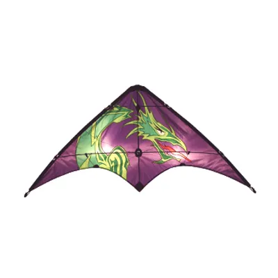 Dragon 48" Learn to Fly Sport Kite #20404 by SkyDog