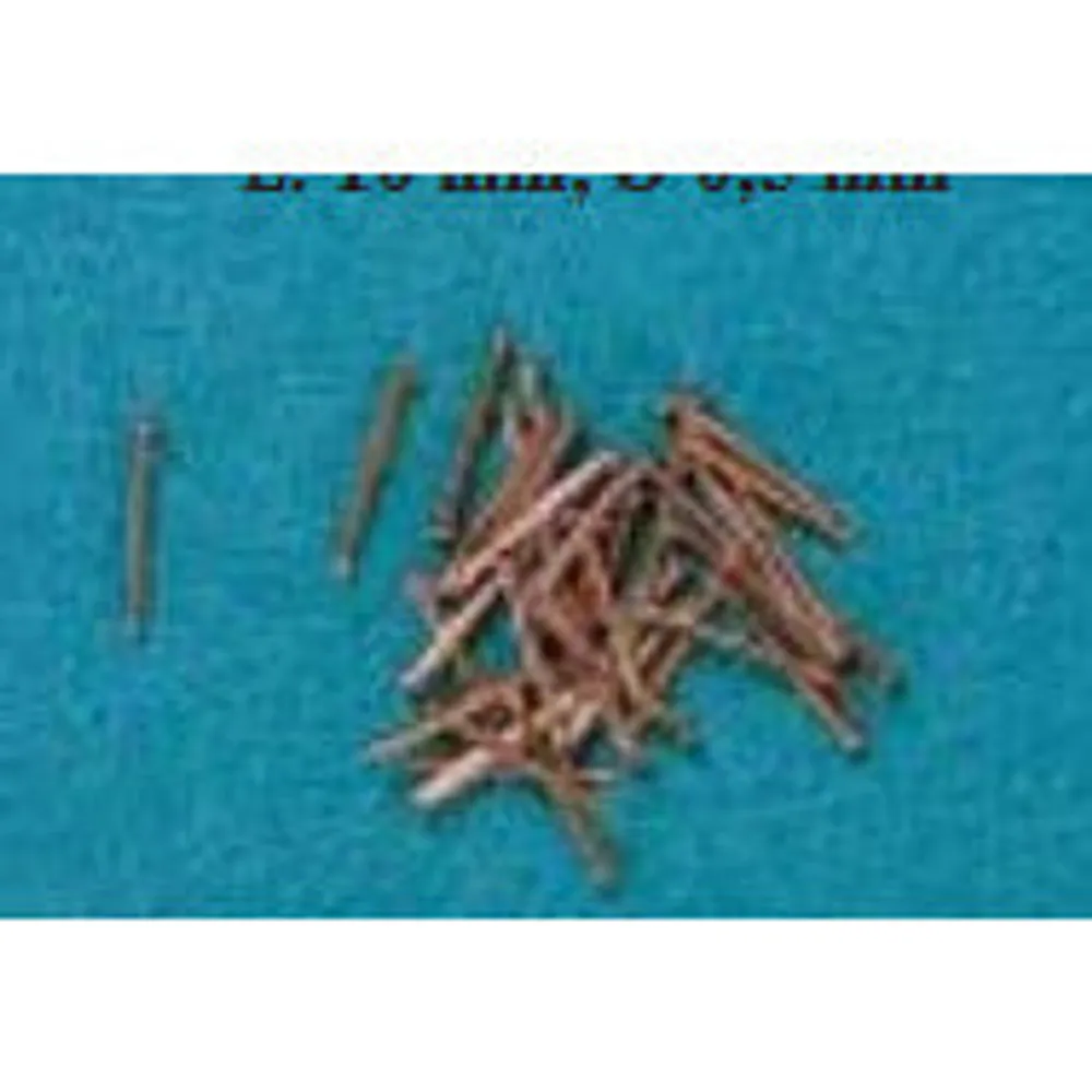 Corel Copper Nails,10mm (Bag) Round Head C-154