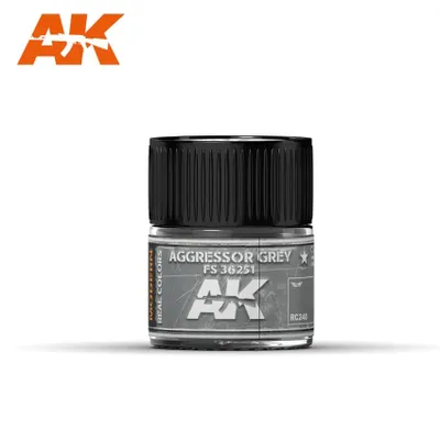 AK-RC248 Aggressor Grey FS 36251