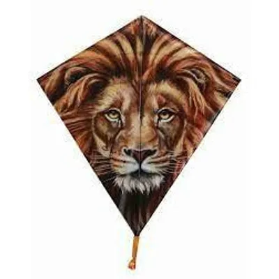 Lion 40" Diamond Kite #12241 by SkyDog