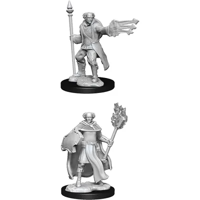 D&D Unpainted Mini - Multiclass Cleric & Wizard 90151