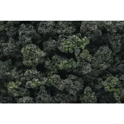 Woodland Scenics Bush Clump Foliage - Forest Blend WOO149