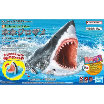 Exploring Lab Nature Great White Shark Plastic Model Kit