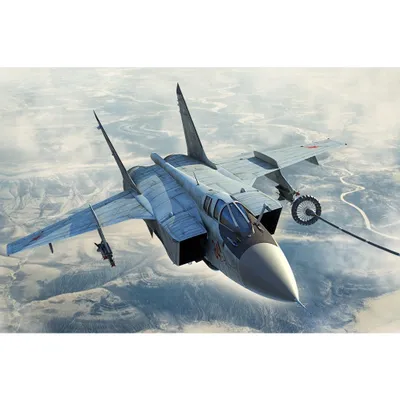 Russian MiG-31B/BM Foxhound 1/48 #181754 by Hobby Boss