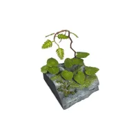 Jungle Plants C #35079 1/35 by Matho Models