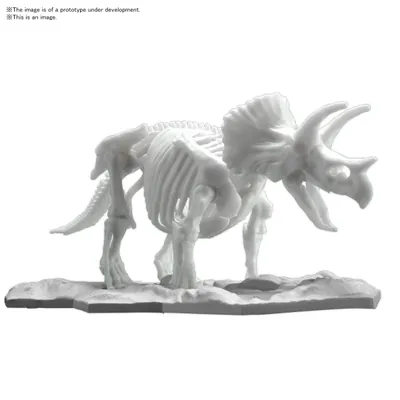 Triceratops Skeleton Model Kit #5061660 by Bandai