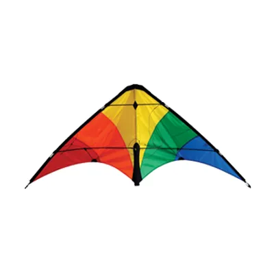 Rainbow 48" Learn to Fly Kite #20400 by SkyDog