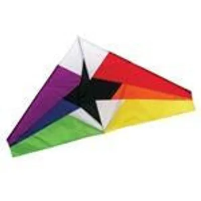 Rainbow 55" Delta Kite #11151 by SkyDog