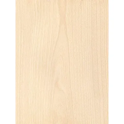 Birch Plywood (5 Ply) 1/4" x 12" x 24"