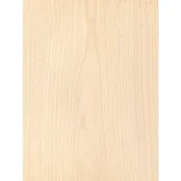 Birch Plywood (5 Ply) 1/4" x 12" x 24"