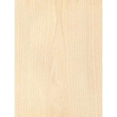 Birch Plywood (3 Ply) 1/16" x 12" x 24 "