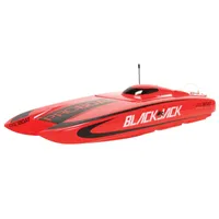 Blackjack 24" Brushless Catamaran RTR