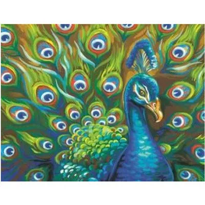 Dimensions Paint by Numbers Wild Feathers (Peacock) (14"x11")