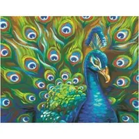 Dimensions Paint by Numbers Wild Feathers (Peacock) (14"x11")