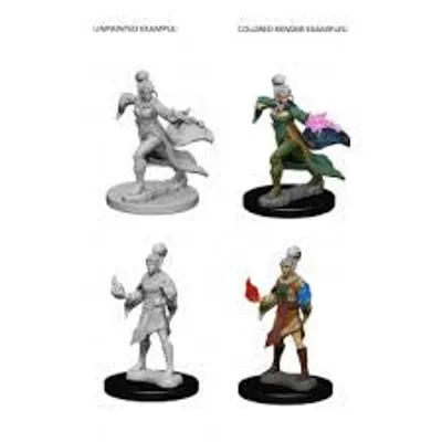 D&D Unpainted Mini - Elf Female Wizard 73606