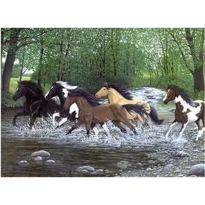 Royal & Langnickel Paint by Numbers Free Spirits Galloping Horses