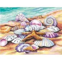 Dimensions Paint by Numbers  Shells (Seashore) (11"x14")