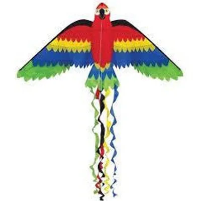 Rainbow Parrot 66" Kite #10032 by SkyDog