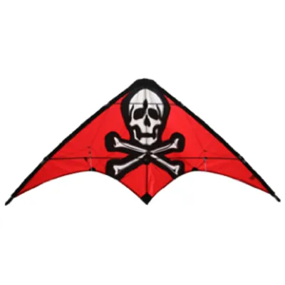 Pirate 48" Learn to Fly Kite #20405 by SkyDog