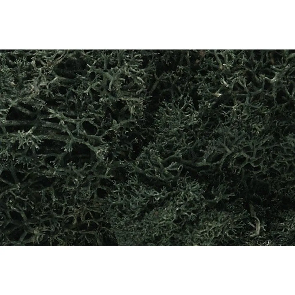 Woodland Scenics Lichen - Dark Green WOO164