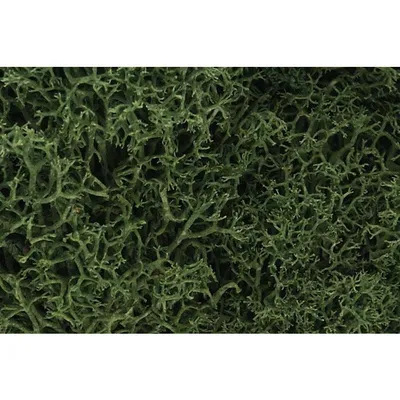 Woodland Scenics Lichen - Medium Green WOO163