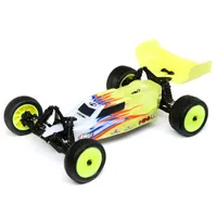 Losi 1/16 2WD Buggy RTR Brushed Mini-B