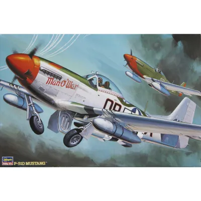 P-51D Mustang 1/32 #08055 by Hasegawa