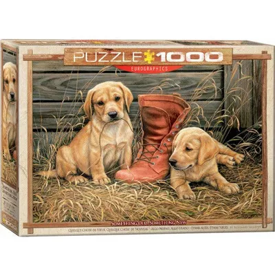 Eurographics Something Old, Something New (Golden Lab Puppies & Boot) Puzzle (1000pc)