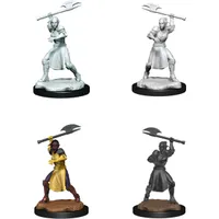 Critical Role Unpainted Mini